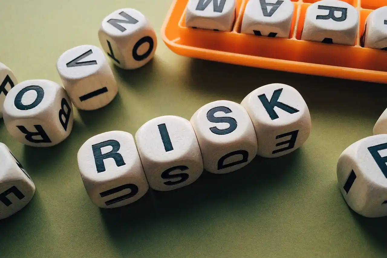 what is the opposite of risk averse